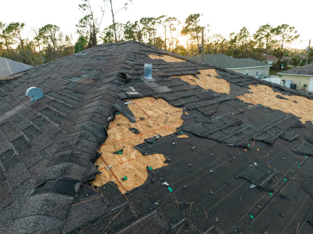 Best Roof Insulation Installation  in Yacolt, WA